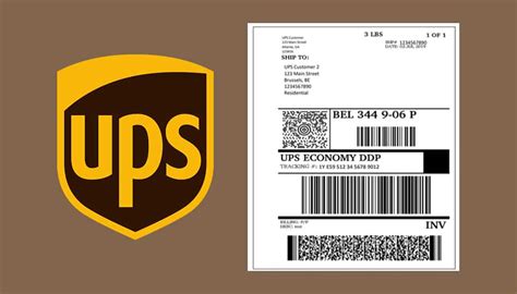 How Much Does It Cost to Print a Shipping Label at UPS? And Why Does It Feel Like a Puzzle Sometimes?