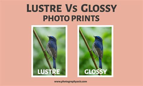 what does lustre print mean? what if we explore the origins of this printing technique and its impact on the development of art history.