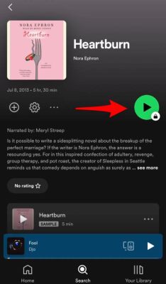 Why Are Some Books Locked on Spotify and The Multi-Layered Reasons Behind It