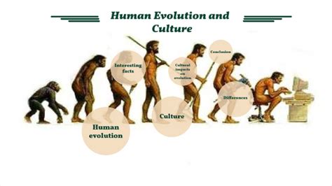 Why Is Art History Important: Insights into Cultural Evolution and Human Expression